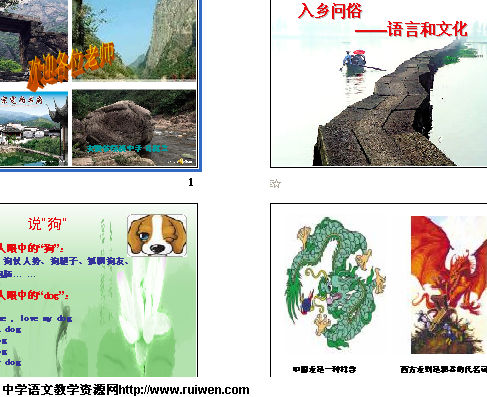 语言和文化 课件截图